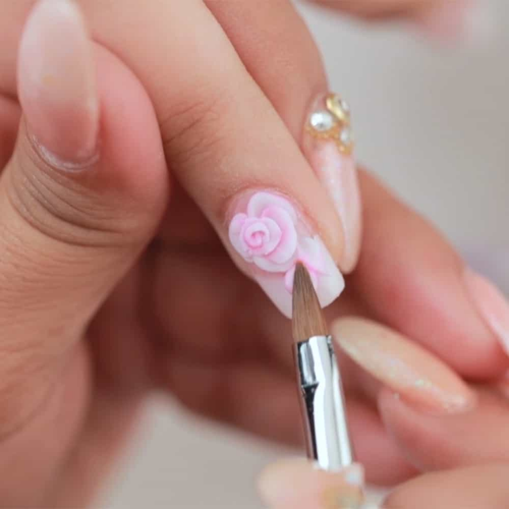 Professional Acrylic Brush